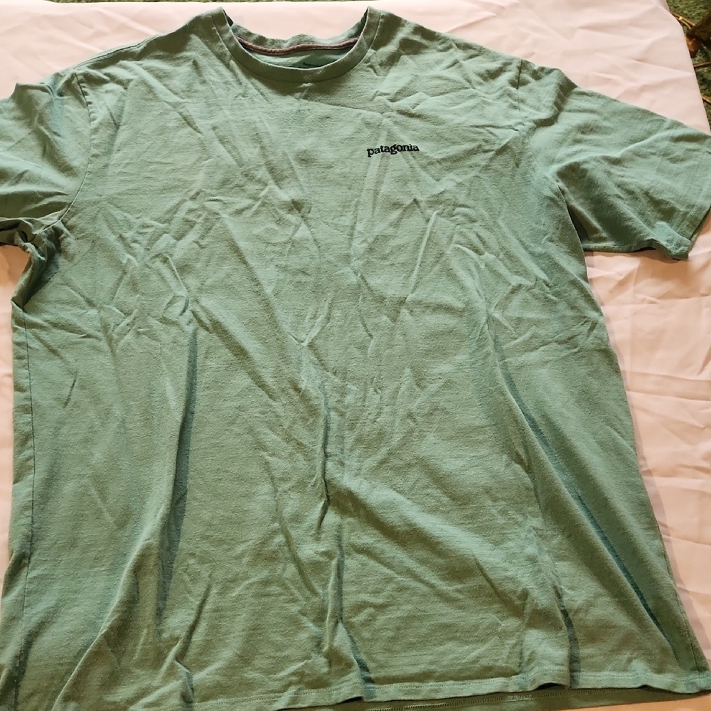 Patagonia Men's Short Sleeve Tee in Sage